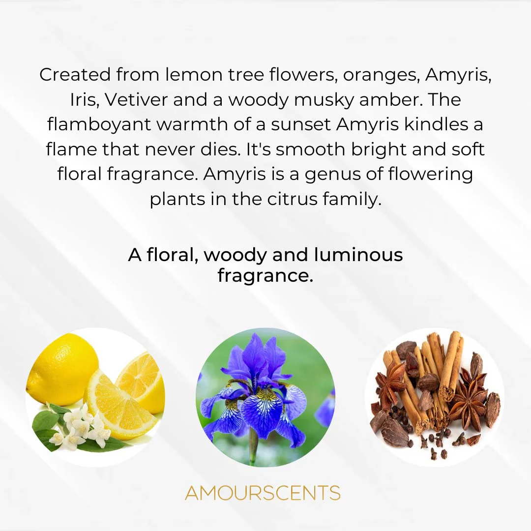 Amyris Femme (Inspired) - Image 2
