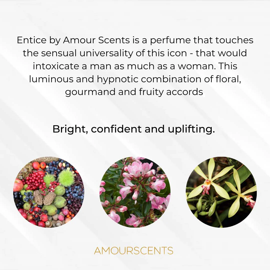 Entice Car Freshener - Image 2