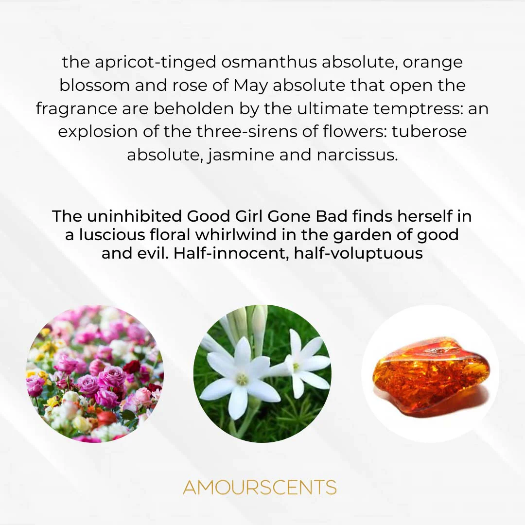 Good Girl Gone Bad Car Freshener (Inspired) - Good Girl Gone Wild - Image 2