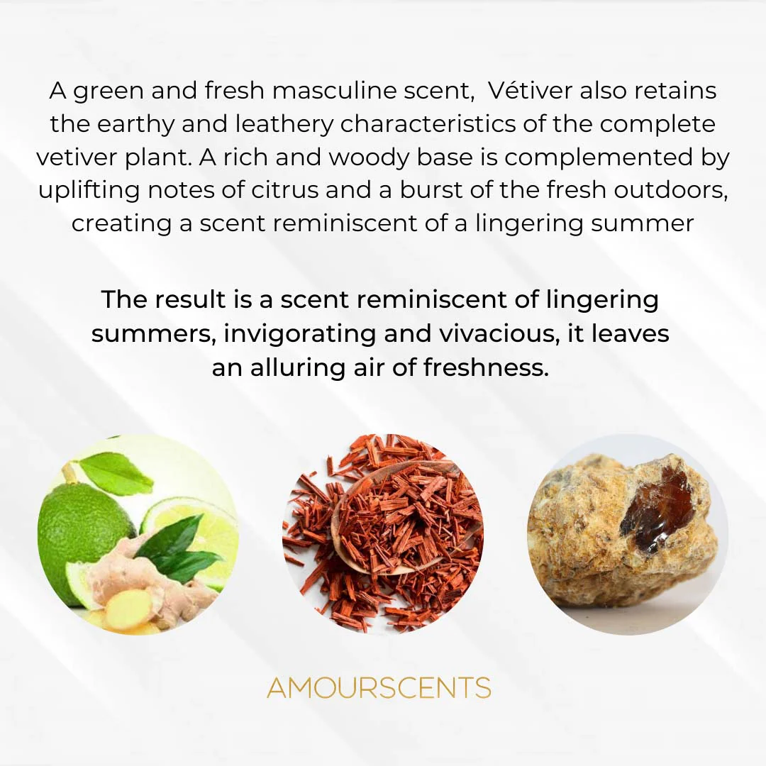 Original Vetiver (Inspired) - Wild Vetiver - Image 2