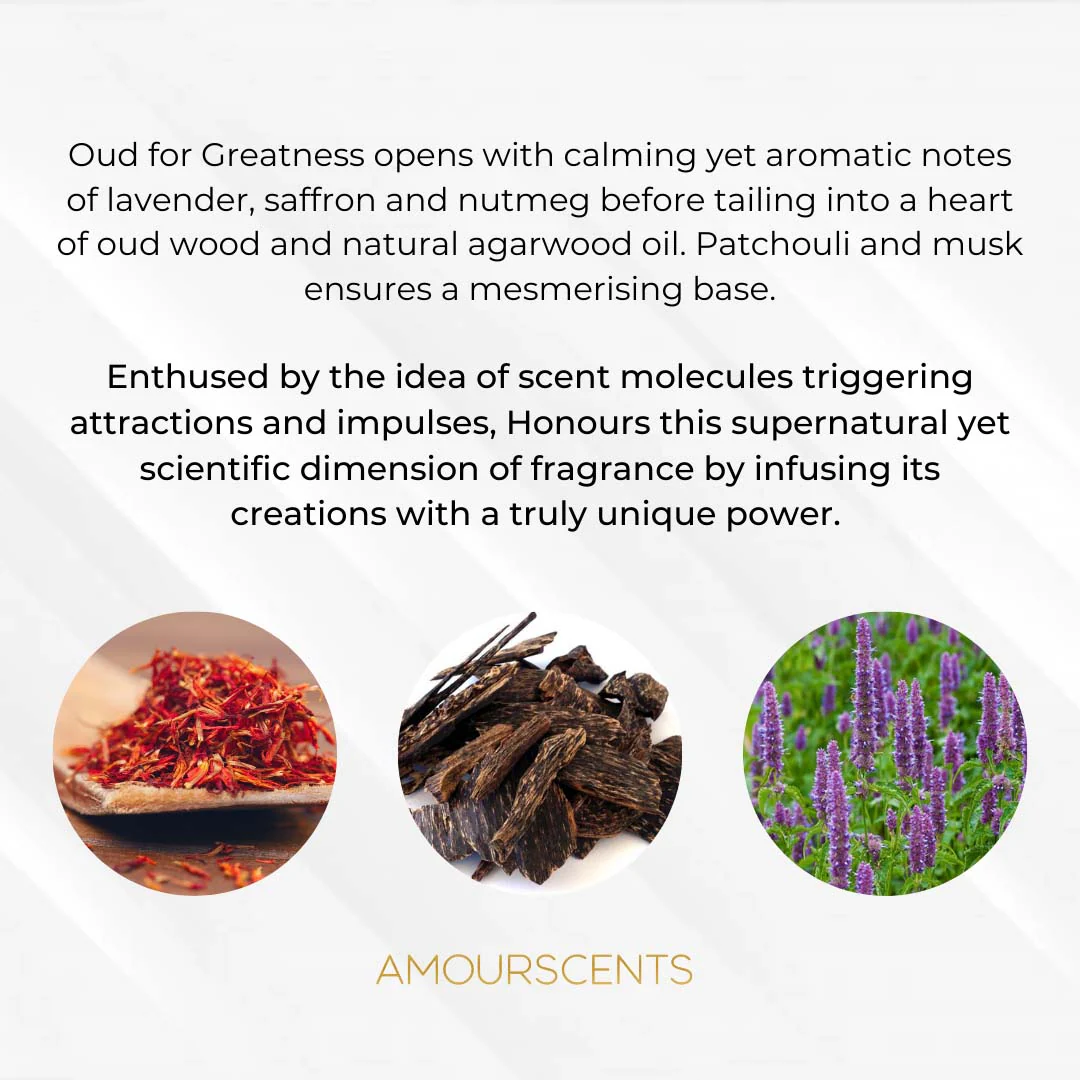 Oud For Greatness Oil (Inspired) - Splendour Of Oud - Image 2