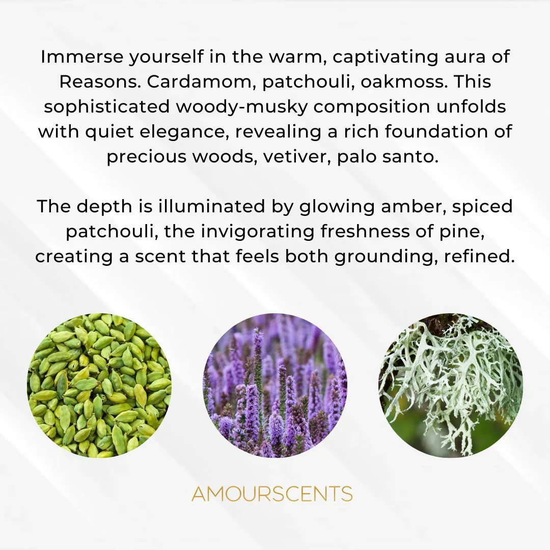Reasons (Inspired) - Mood Swing - Image 2