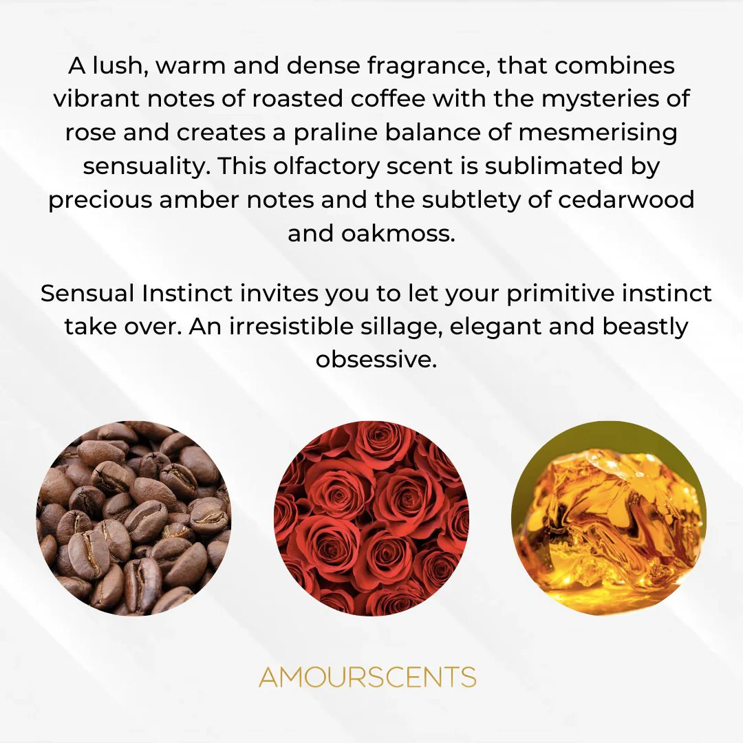 Sensual Instinct Oil (Inspired) - Instinct - Image 2